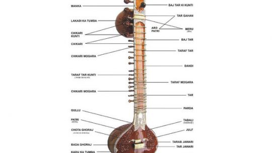 Chitarre indiane: tipologie e caratteristiche degli stumenti a corde indiani