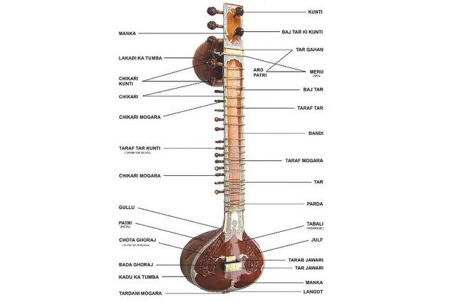 Chitarre indiane: tipologie e caratteristiche degli stumenti a corde indiani