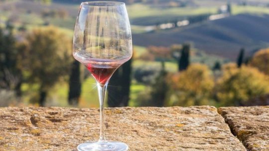 Quali sono i vini italiani più conosciuti?